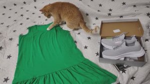 Покупки в октябре одежда обувь косметика для дома. Часть 2