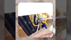 1000038577.mp4 (Собака смотрит на монтаж электропроводки (распайку р/коробок) в доме А-фрейм)