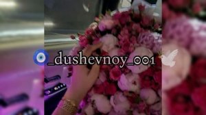 цыганская песня 🎶2025 ханар 🕊 вся взаимно