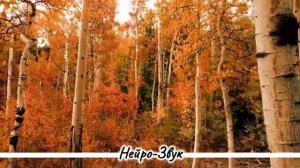 Как молоды мы были Как чисто мы любили