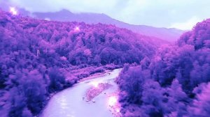 Вдоль волшебной реки - красивая музыка для отдыха, вдохновения и медитации