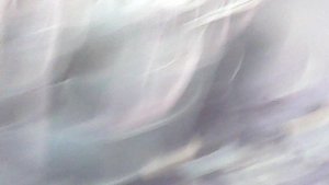 Помогаю родителям - переношу саженцы с открытой площадки в зимнее хранилище