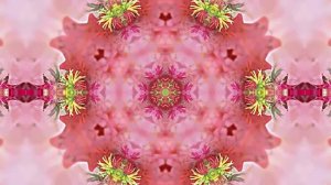 Видеофоны! Видеофон Осенняя цветочная фантазия 10 от Киностудии Мудрого Кота Тимофея!