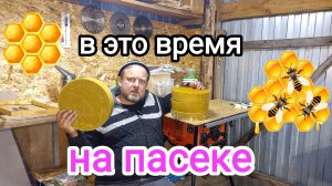 На пасеке дела не заканчиваются, даже если пчёлы не летают! Пчеловодство! Зимовка пчёл!