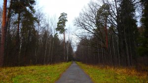 30.10.2025 Йошкар-Ола