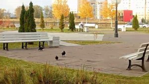 Как дерево роняет тихо листья, так я роняю грустные слова. А вы осенью грустите?