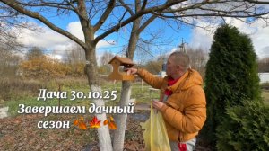 ДАЧА 30.10.2025 ПОДГОТОВИЛИ УЧАСТОК К ЗИМЕ