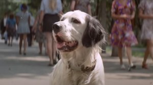 Любимый фильм детства ❤.mp4