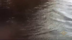 Полицейские задержали жителя Московской области, совершившего невероятно безрассудный поступок.