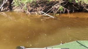 🔺️🎣СХОД🎣🔺️fishing#туризм#природа#ловля#рыбалка#щука#ловлящуки#ночевка#Чулым#река#спиннинг