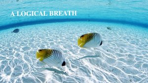 ЛОГИЧЕСКИЙ ВЗДОХ | 𝐀 𝐋𝐎𝐆𝐈𝐂𝐀𝐋 𝐁𝐑𝐄𝐀𝐓𝐇