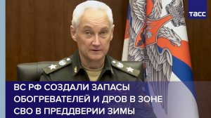 ВС РФ создали запасы обогревателей и дров в зоне СВО в преддверии зимы