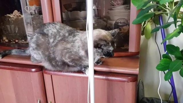 Леся и Сёма - Фитюлька поверила в себя