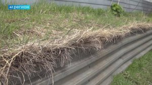 БЛАГОУСТРОЙСТВО ПРИДОМОВЫХ ТЕРРИТОРИЙ ПРОВЕЛИ В ЕЛИЗОВЕ • НОВОСТИ КАМЧАТКИ