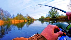 Она всадила так что я был в шоке!!! ОСЕННИЙ СПИННИНГ!