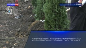 Аллея единства расцветает в Горловке: туи и можжевельник украсили парк Горького