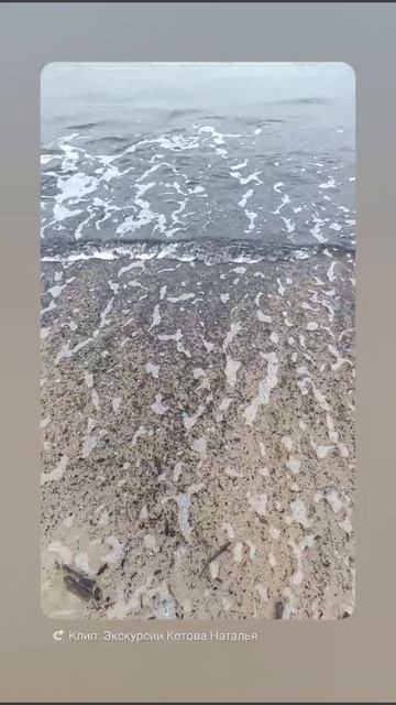 Мой улов!!! смотреть онлайн