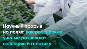 Научный прорыв на полях: как российские ученые развивают селекцию и генетику