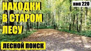 или КАК ДОЛГО Я "ТЕБЯ" ИСКАЛ И ВОТ…коп 220