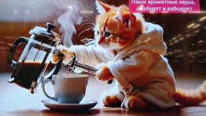 Милые котята пьют кофе!