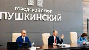 Пушкинские депутаты обсудили вопросы, связанные с муниципальной собственностью