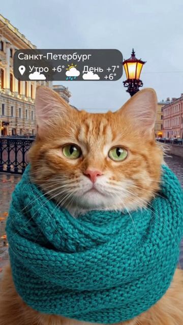 Прогноз погоды в Санкт-Петербурге на 30.10.2025 от котика =)