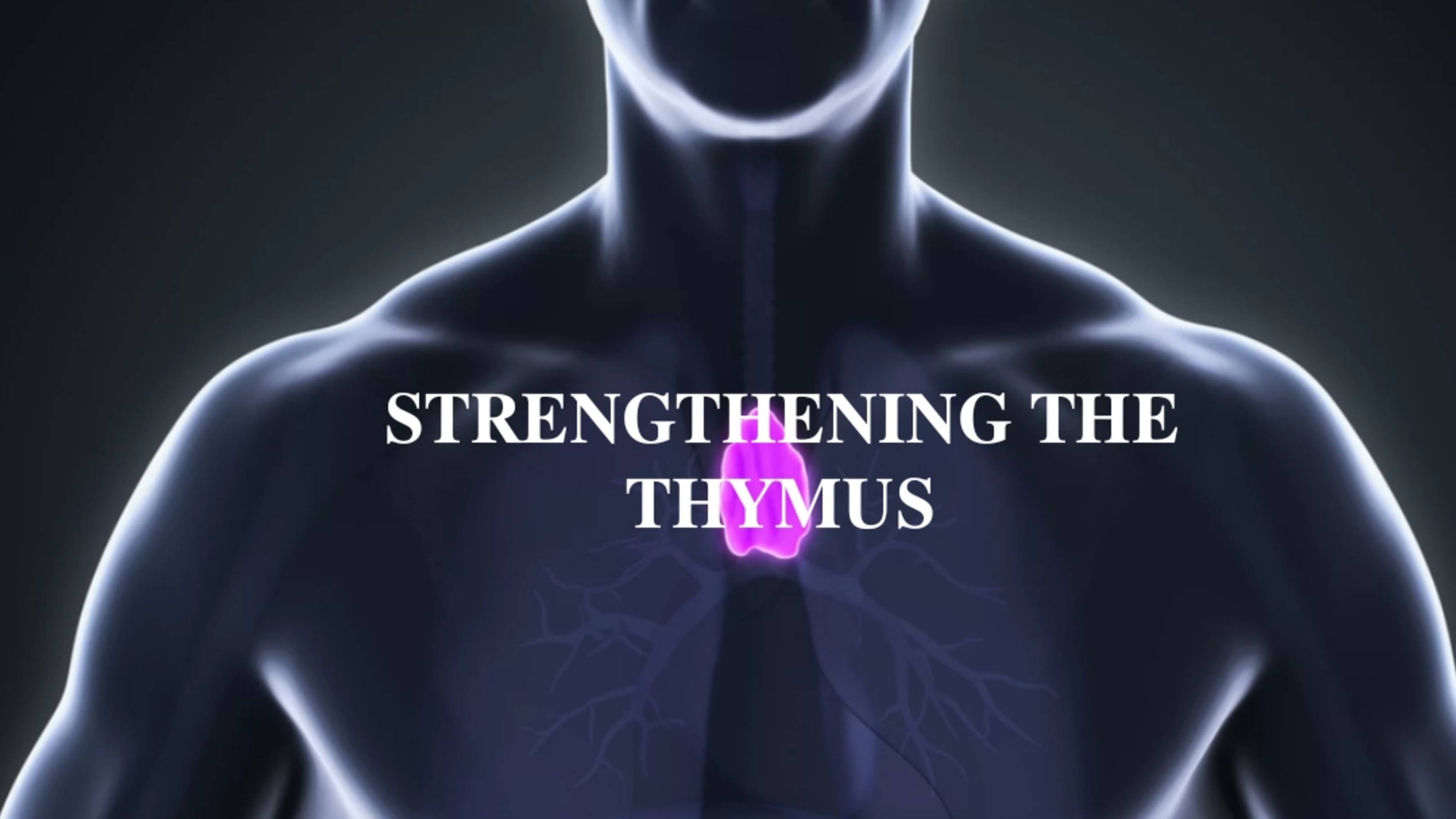 УКРЕПЛЕНИЕ ТИМУСА | 𝐒𝐓𝐑𝐄𝐍𝐆𝐓𝐇𝐄𝐍𝐈𝐍𝐆 𝐓𝐇𝐄 𝐓𝐇𝐘𝐌𝐔𝐒