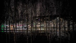 10148433 Губкина 3