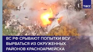 ВС РФ срывают попытки ВСУ вырваться из окруженных районов Красноармейска
