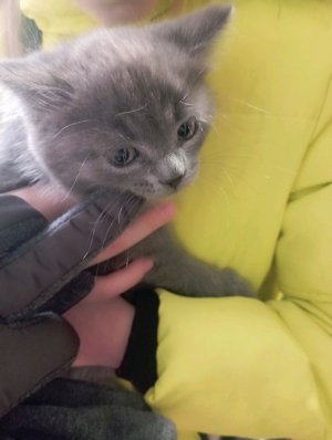 стран сумочку