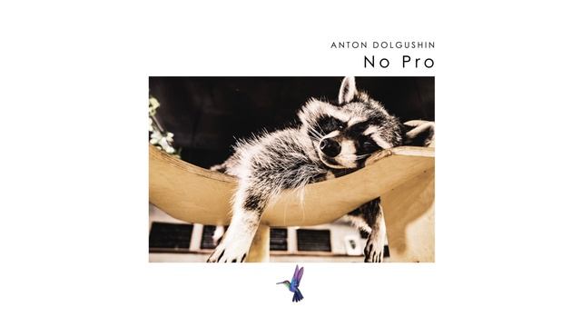 Anton Dolgushin - No Pro