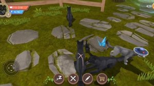 Волчья семья