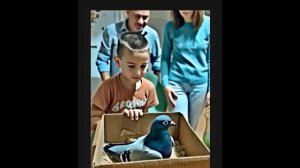 Мультик маленький настоящй голубь и волшебная бумага