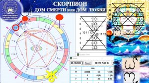 СКОРПИОН_ДОМ_СМЕРТИ_или_ДОМ_ЛЮБВИ_Что_Скорпион_значит_для_человечества