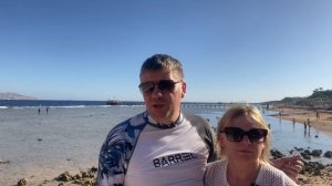 Обзор отеля Parrotel Lagoon Resort 5, AI — «Всё включено» в Египте, Шарм-эль-Шейх, район Набк.