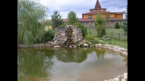 01384_Воспоминания_6_Птичий питомник Воробьи_18.02.2024 г.