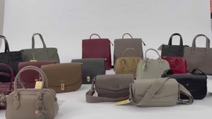 823_женские сумки и рюкзаки из искусственной кожи торговая марка D.Jones