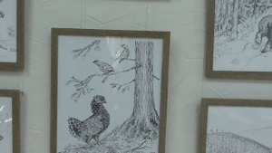 Выставка рисунков зоолога Подольского Сергея Анатольевича