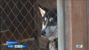 09:30 ВЕСТИ САХА 30/10/25 НА ЯКУТСКОМ ЯЗЫКЕ