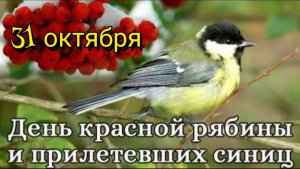 31 ОКТЯБРЯ– ДЕНЬ КРАСНОЙ РЯБИНЫ И ПРИЛЕТЕВШИХ СИНИЦ