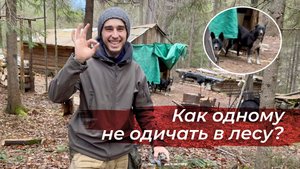 Закрыл избу на зиму. Подготовил вольер для Гоши