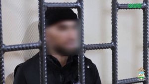 Нелегальный мигрант в Уфе пытался дать взятку полицейским