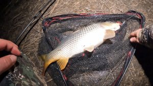 РЫБАЛКА НА ДГК (БЕТОНКА) НА МАКУШАТНИКИ х.ЛЕБЕДИ