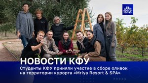 Студенты КФУ приняли участие в сборе оливок на территории курорта «Mriya Resort & SPA»