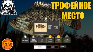 Трофейное место на Лосином озере. Russian Fishing 4. рр4