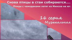 Снова птицы в стаи собираются...Птицы с чемоданами летят из Минска на юг. 16 серия. Музыкальная