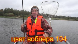 Осенняя рыбалка с друзьями на Озере Вселуг . Проверенный воблер выручает.