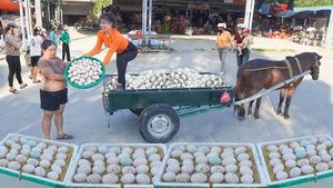 Собрала 1000 утиных яиц, чтобы продать их на деревенском рынке. Ли Тьеу