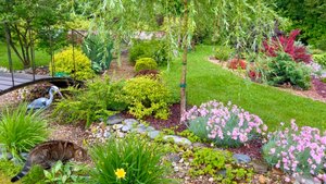 Ручей, дорожка и площадка с кострищем. Декоративность и функциональность.