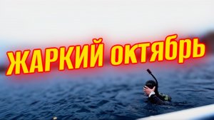 Неуловимая добыча: подводная охота с нулевым результатом